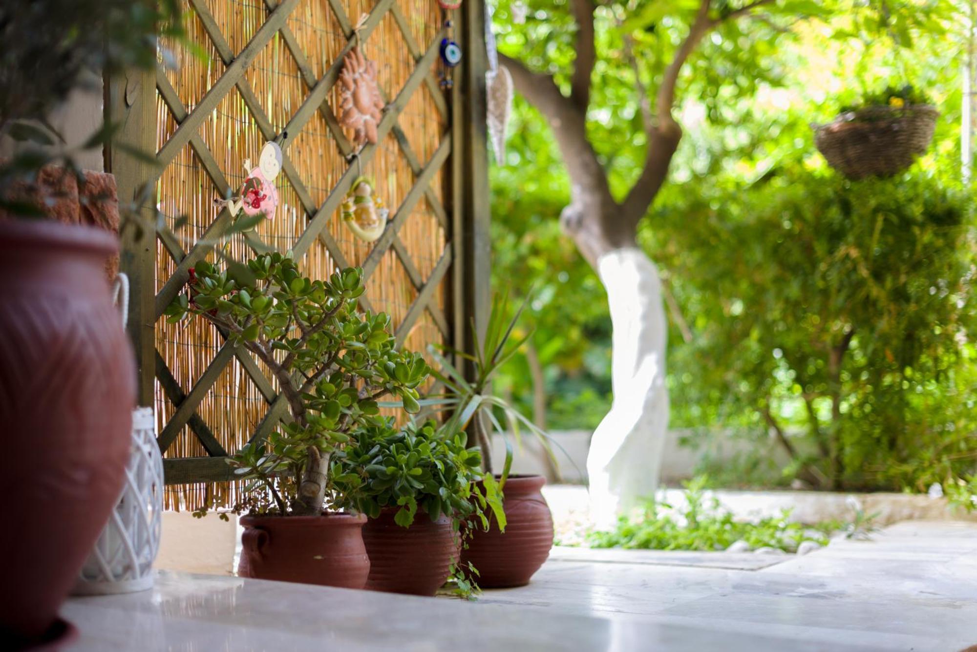 Oasis Home Tolo Luaran gambar