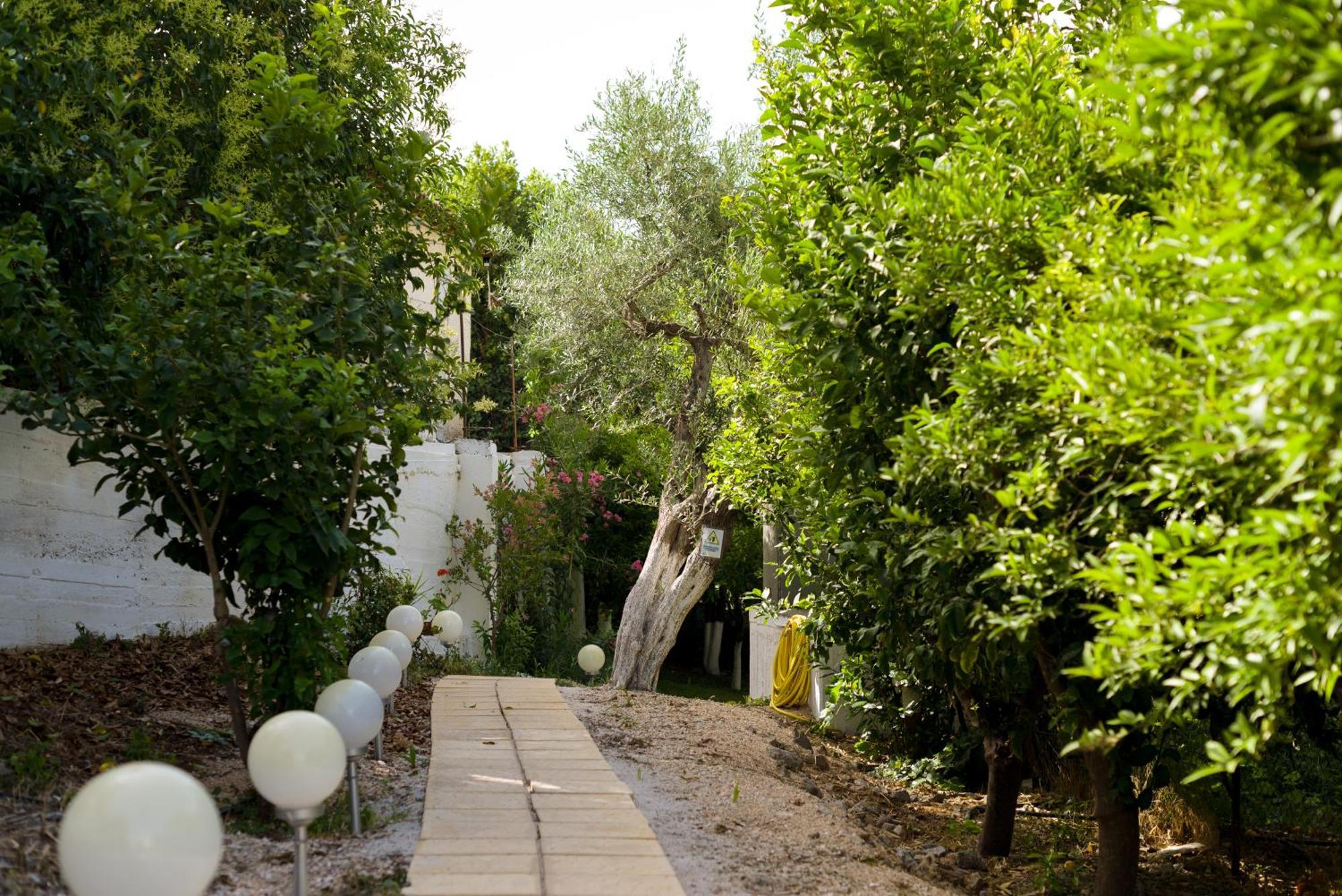 Oasis Home Tolo Luaran gambar